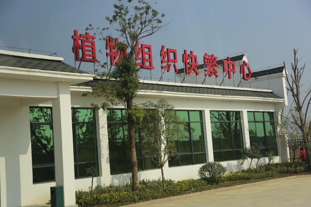 谈球吧平台app入口